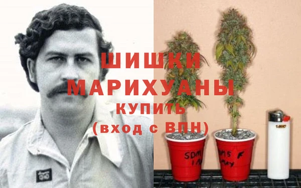 метадон Дмитриев