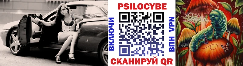 Купить где  Руза  Псилоцибиновые грибы мицелий 